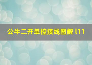 公牛二开单控接线图解 l11